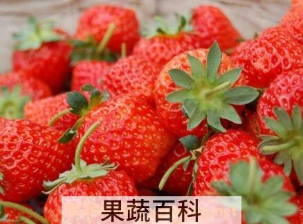 草莓用什么水果催熟 草莓如何自然催熟
