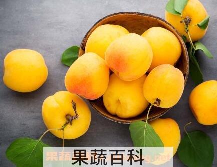 黄桃怎么去核更快更好
