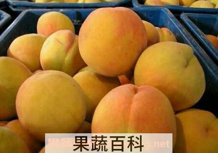 黄桃怎么去核更快更好