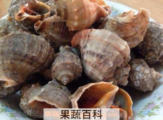 大海螺怎么清洗才干净 大海螺怎么处理干净