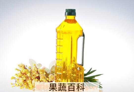 茶油和橄榄油哪个好