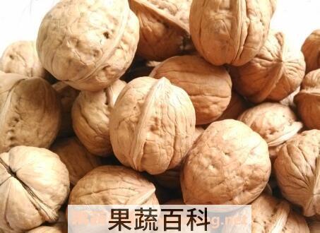 干核桃怎么去皮 核桃去皮方法技巧