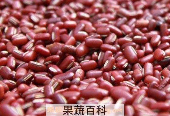 赤小豆的功效与作用及食用方法
