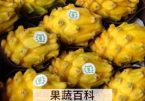燕窝果的营养价值