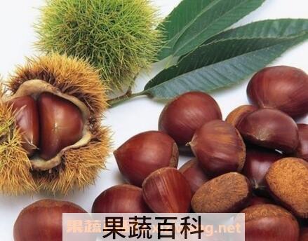 栗子怎么去皮 栗子快速去皮方法技巧