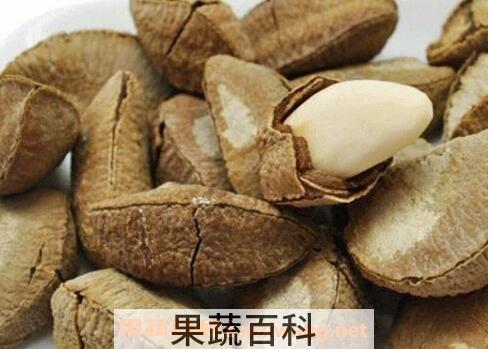沙漠果的营养价值及功效作用