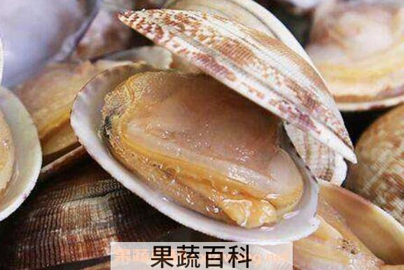 文蛤如何清洗才没沙子 文蛤如何清洗最快