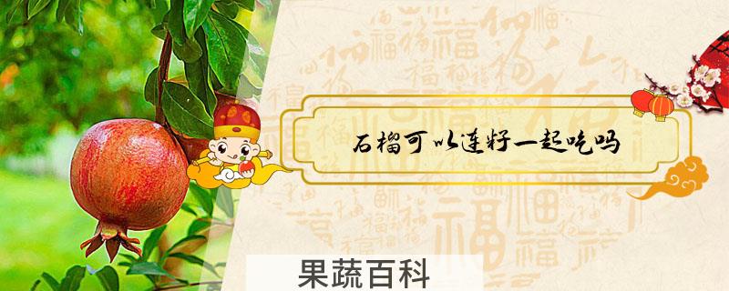 石榴可以连籽一起吃吗