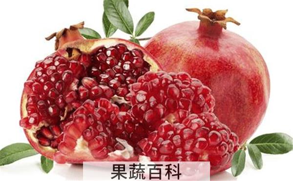 石榴可以连籽一起吃吗