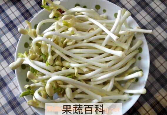 花生芽的功效与作用及食用方法
