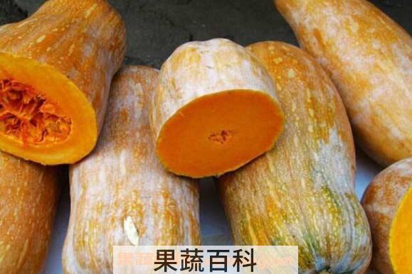 蜜冠南瓜的营养价值 吃蜜冠南瓜的好处