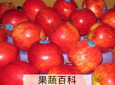 咖喱果的营养价值与功效
