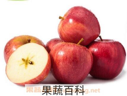 咖喱果的营养价值与功效