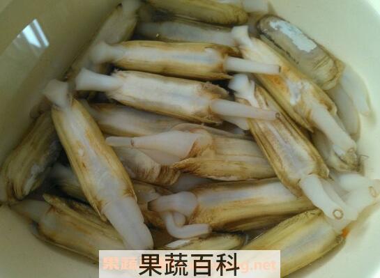 蛏子的营养价值和功效
