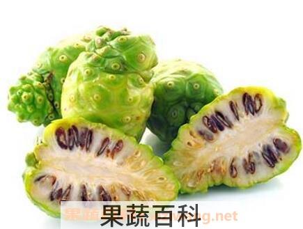 诺丽果的营养价值及功效