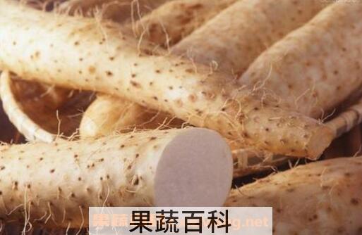 生山药的作用与功效