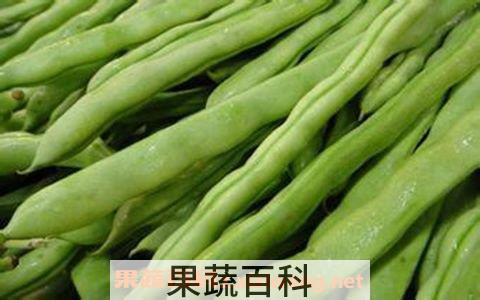 四季豆功效