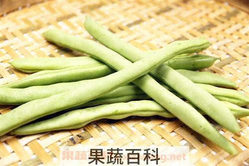 四季豆的营养