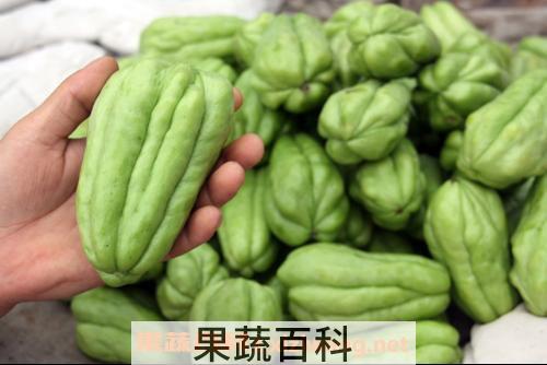 佛手瓜
