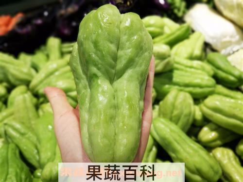佛手瓜的营养价值