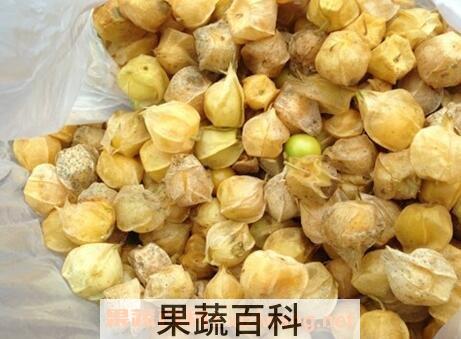 含羞果的营养价值与功效