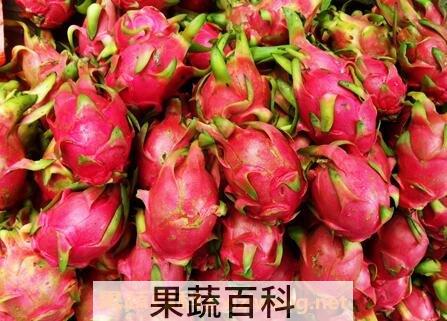 火轮果的营养价值与功效