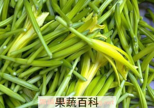 吃干黄花菜的禁忌 吃新鲜黄花菜的禁忌