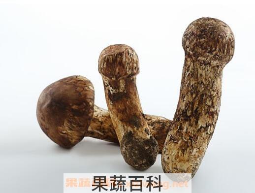 松茸不能和什么一起吃 松茸的保存方法