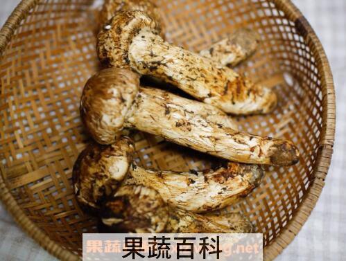 松茸不能和什么一起吃 松茸的保存方法