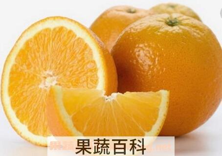 口腔溃疡吃什么水果