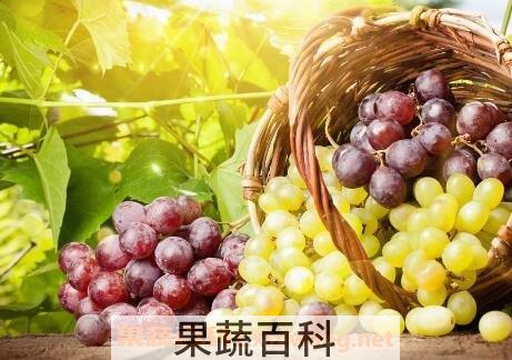 什么水果去火 能降火的水果介绍