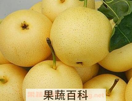 什么水果去火 能降火的水果介绍