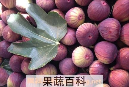 糖尿病能吃什么水果 糖尿病能吃水果吗