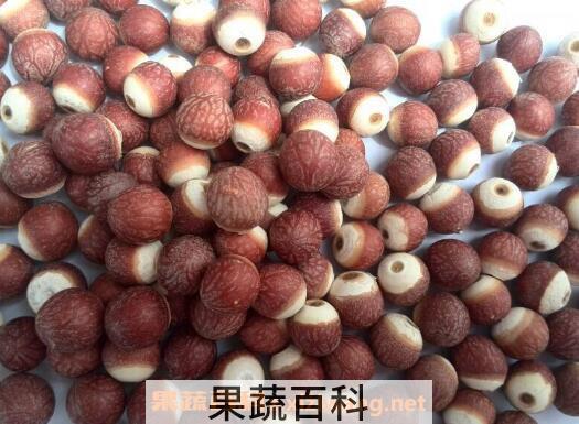 鸡头米的功效与作用