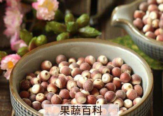 芡米和芡实有什么区别 芡米怎么吃好