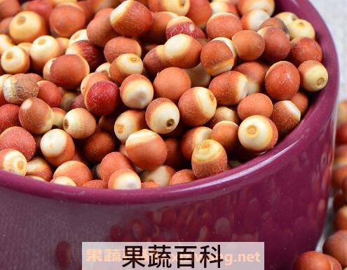 芡米和芡实有什么区别 芡米怎么吃好
