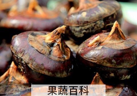 马蹄果的功效与作用