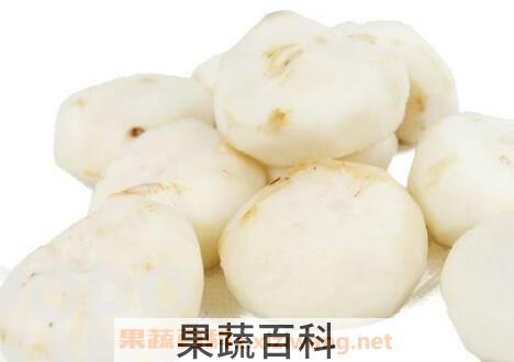 马蹄果的功效与作用