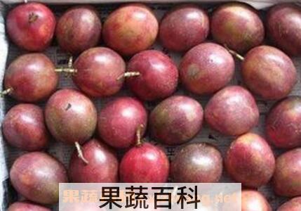 巴西果的营养价值