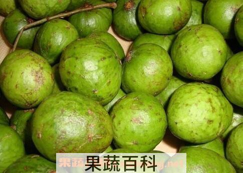 仁面果的功效与作用