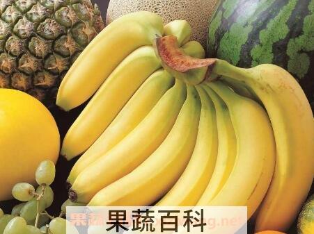 吃香蕉的好处与功效作用