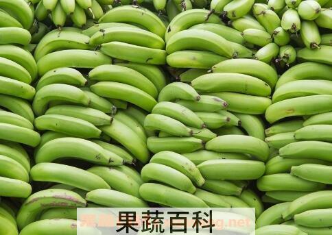 吃香蕉的好处与功效作用