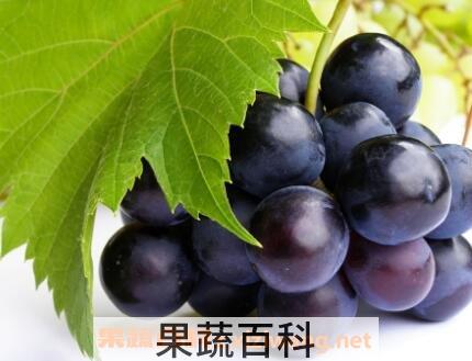 常吃葡萄的好处和坏处