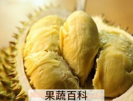 吃榴莲的好处与功效作用