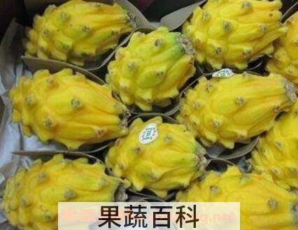 麒麟果的功效与作用