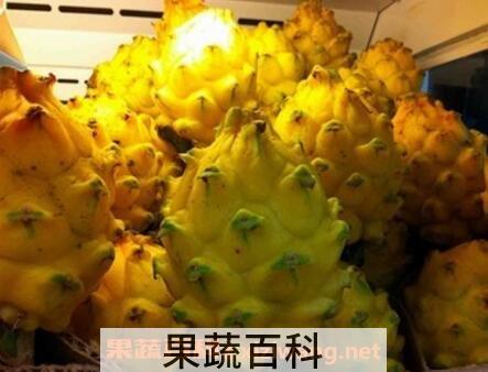 麒麟果的功效与作用
