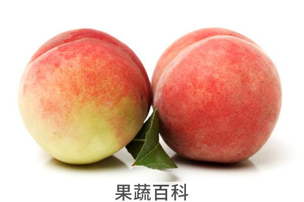 桃子牛奶能一起吃吗