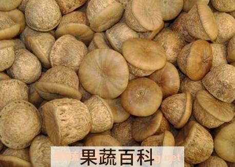 风流果的功效与作用