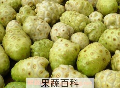诺丽果的功效与作用