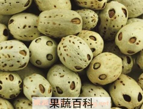 五眼果的功效与作用